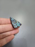 صدف آبالون کد0011 - Image 2