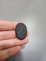 صدف آبالون کد0012 - Image 3