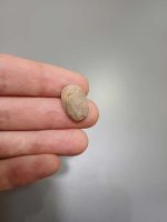 فیروزه نیشابور کد0049 - Image 2